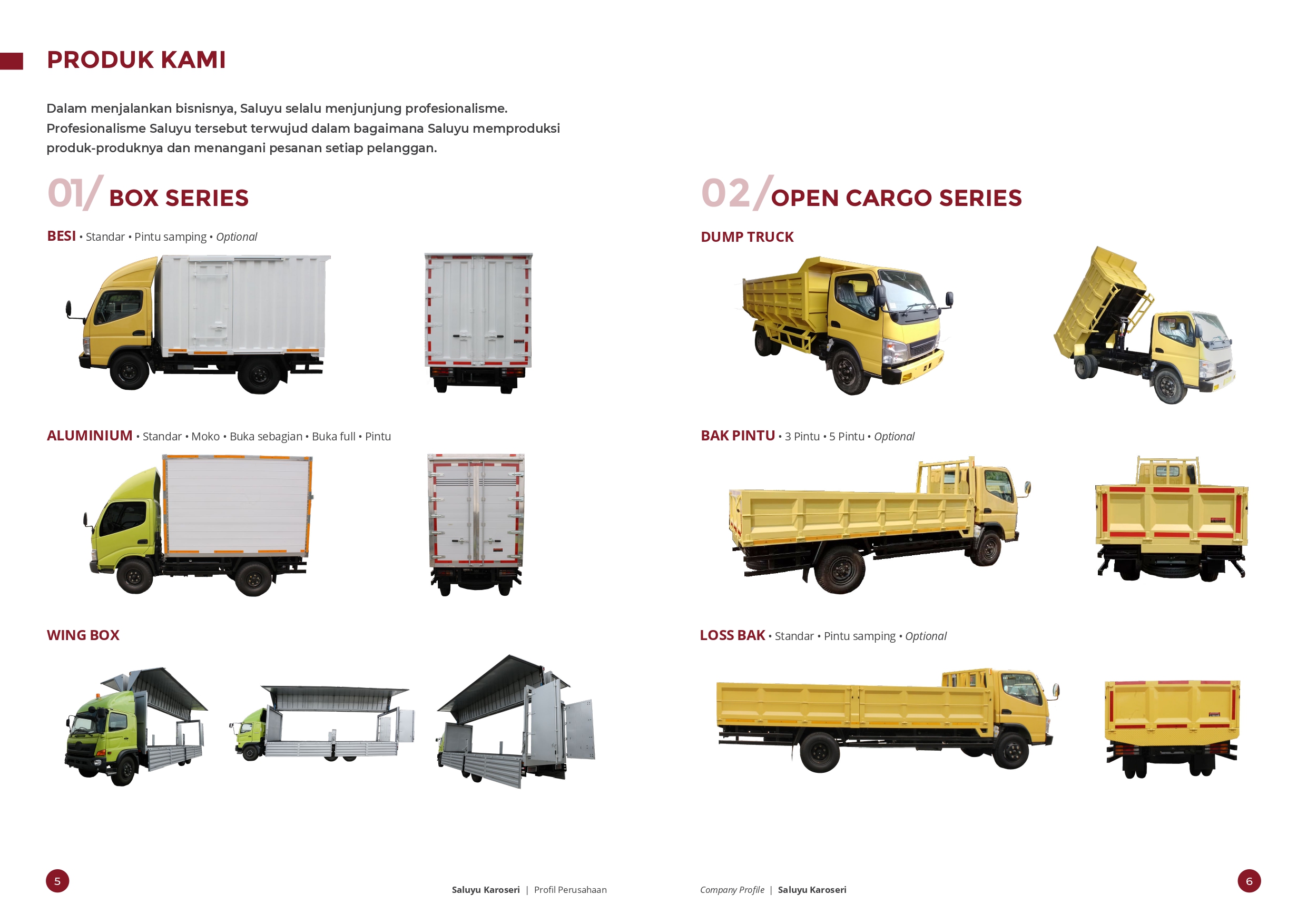 Saluyu_CompanyProfile_R8 (1)_page-0004